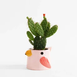 inny Doniczka na balkon, ptak, MIX