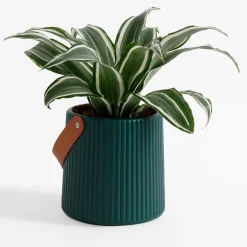 Donice, Osłonki I Kwietniki|inny Doniczka z uchwytem zielona 15 cm