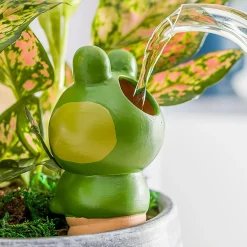 inny Dozownik nawadniający do roślin żaba