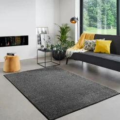 Dywany Z Krótkim Włosiem| Dywan ciemnoszary CLEVER 200x290 cm