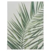 Dywan MUNRO PALMA 120x170 cm
