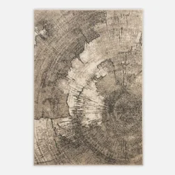 Dywany Z Krótkim Włosiem|inny Dywan pień drzewa PASCAL 120x170 cm