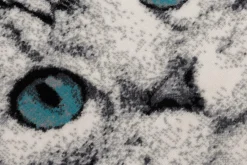 Dywan szary KOT 160x230 cm