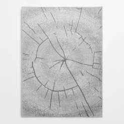 Dywany Z Krótkim Włosiem|inny Dywan wzór plaster drewna szary MIRACLE 120x170 cm