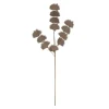 Sztuczne Kwiaty, Rośliny I Gałązki| Gałązka dekoracyjna brązowa 80 cm