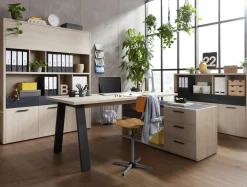 Komoda na książki do biura niska DAVINCI OFFICE