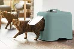 Produkty Dla Zwierząt|ROTHO Kuweta dla kota wysoka zielona 51 cm