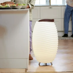 inny Lampa LED z głośnikiem Bluetooth i chłodziarką KOODUU SYNERGY 65