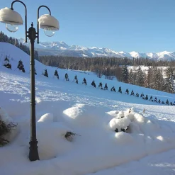 Lampy Ogrodowe|Lampy Ogrodowe|inny Lampa zewnętrzna outdoor wysoka 2-ramienna czarna BOSTON