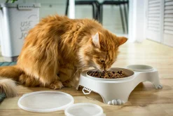 Produkty Dla Zwierząt|ROTHO Miska podwójna dla psa lub kota z pokrywką SALLY