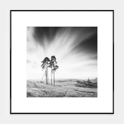 Obraz ARTBOX TREES 50x50 cm