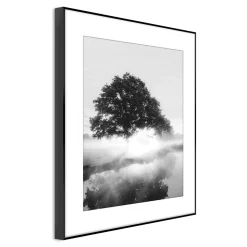 Obraz FOGGY TREE ARTBOX DIGI 50x70 cm