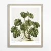 Obrazy I Dekoracje Ścienne|inny Obraz MONSTERA EGZOTIC PLANT 40x50 cm