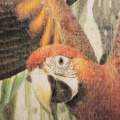 inny Obraz na ścianę ACOUSTIC PARROT 90x120 cm