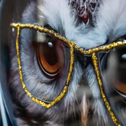 inny Obraz na płótnie SOWA 52,5x72,5 cm