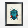 Obrazy I Dekoracje Ścienne| Obraz niebieski owad BEETLE 21x30 cm