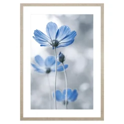 Obrazy I Dekoracje Ścienne| Obraz niebieskie kwiaty BLUE NATURE I 53x73 cm