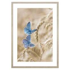 Obraz niebieskie motyle BLUE NATURE II 53x73 cm