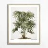 inny Obraz PALM EGZOTIC PLANT 40x50 cm