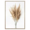 Obraz PAMPAS GRASS II 53x73 cm