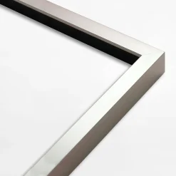 Obrazy I Dekoracje Ścienne|inny Obraz TROPICAL SHELLS I 50x70 cm