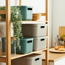 ROTHO Pojemnik do przechowywania zielony ALBULA 12 L