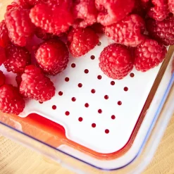 Pojemniki Na Żywność|ROTHO Pojemnik na żywność CAUMA 2,6 l