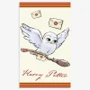 Ręcznik bawełniany HARRY POTTER 30x50 cm