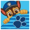 Dzieci inny Ręcznik do rąk niebieski PAW PATROL 30x30 cm