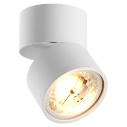 Reflektory|Zumaline Reflektor spot regulowana głowica biały LOMO CL 1