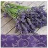 Serwetki I Serwetniki|Paw Serwetki papierowe LUNCH LAVENDER IN THE COUNTRY 20 szt.