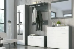 Szafy Z Lustrem|Szafy Uchylne| Szafa z lustrem do przedpokoju SALVE