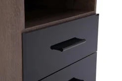 FORTE Szafka nocna JAWA 2S JWK111-C587