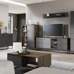 Szafki Rtv|Szafki|DiTrendi Szafka pod telewizor LOZANNA