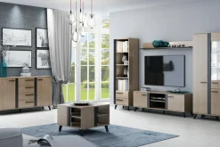 DiTrendi Szafka RTV GAYA 2D