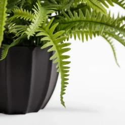 inny Sztuczna paprotka w czarnej doniczce 19 cm