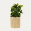 Sztuczne Kwiaty, Rośliny I Gałązki|inny Sztuczna roślina w bambusowej doniczce MIX