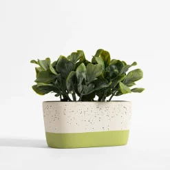 inny Sztuczna roślina w doniczce MIX