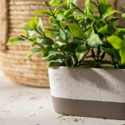 inny Sztuczna roślina w doniczce MIX