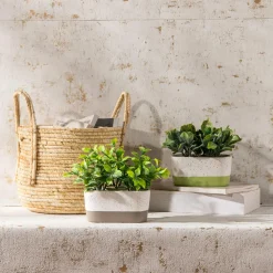 inny Sztuczna roślina w doniczce MIX