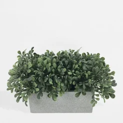 inny Sztuczny bukszpan w doniczce 20 cm