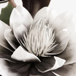 inny Sztuczny kwiat magnolia szary 103 cm