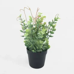 Sztuczne Kwiaty, Rośliny I Gałązki|inny Sztuczny kwiat w doniczce EUKALIPTUS 23 cm