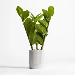 inny Sztuczny kwiat w doniczce 32 cm