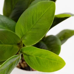 inny Sztuczny kwiat w doniczce 32 cm