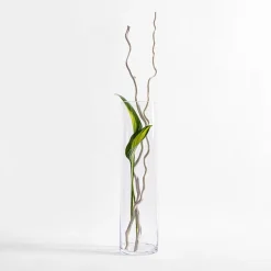 Wrześniak Wazon szklany CYLINDER 50 cm