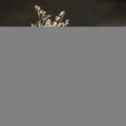 Wazony| Wazon szklany geometryczny szary 23 cm