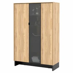 Witryna do salonu z przeszklonym frontem NOMAD