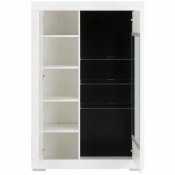 FORTE Witryna SNOW SNWV521