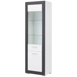 Witryny|Furni Home Witryna wysoka GRAY